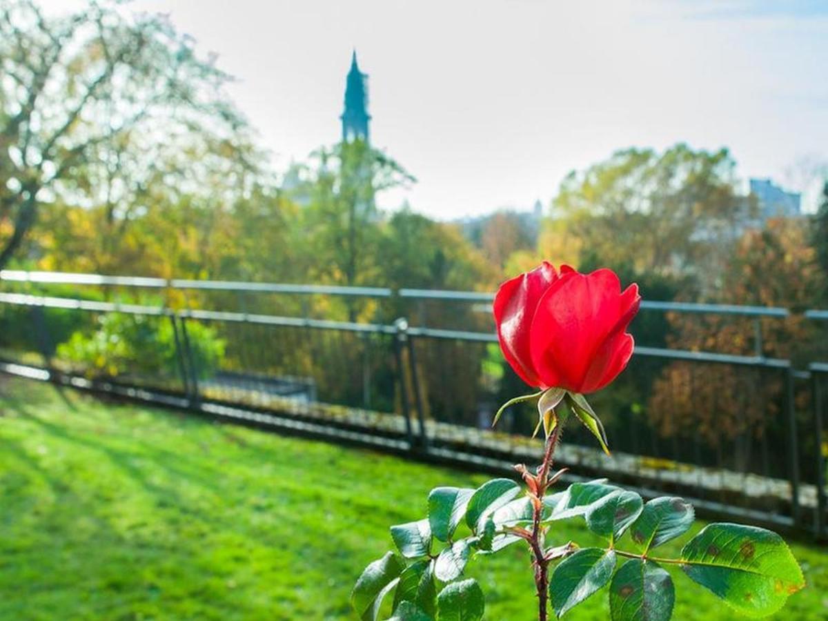 Готель Katholische Akademie Der Erzdioezese Freiburg Екстер'єр фото